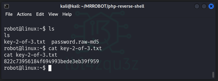 Lectura de la segunda flag con el usuario robot
